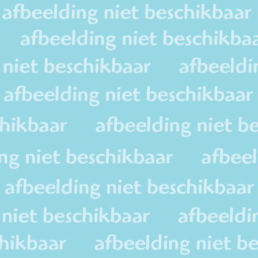 Bizetpad 118, 2324 JX Leiden, Nederland