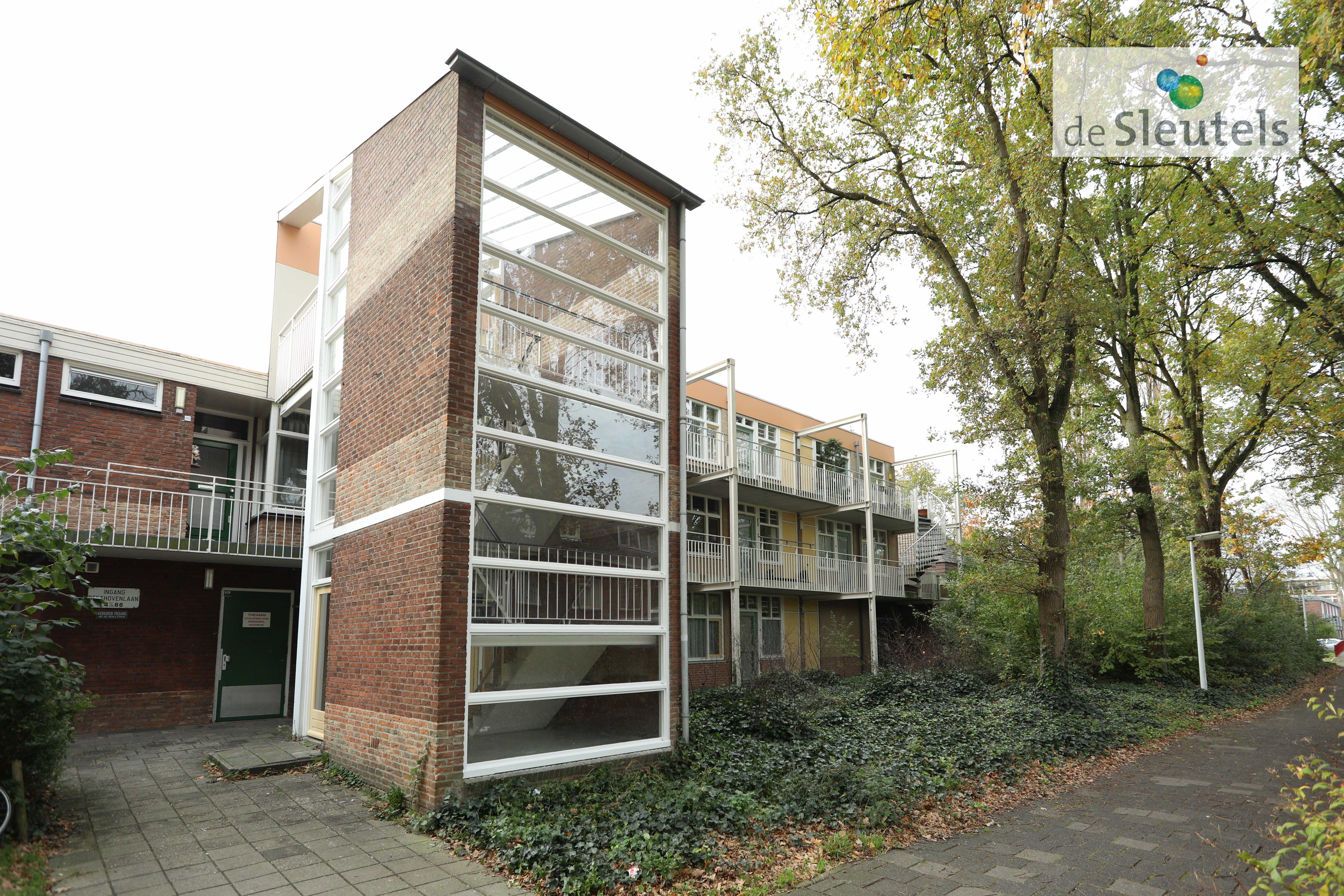 Beethovenlaan 44B, 2324 EN Leiden, Nederland