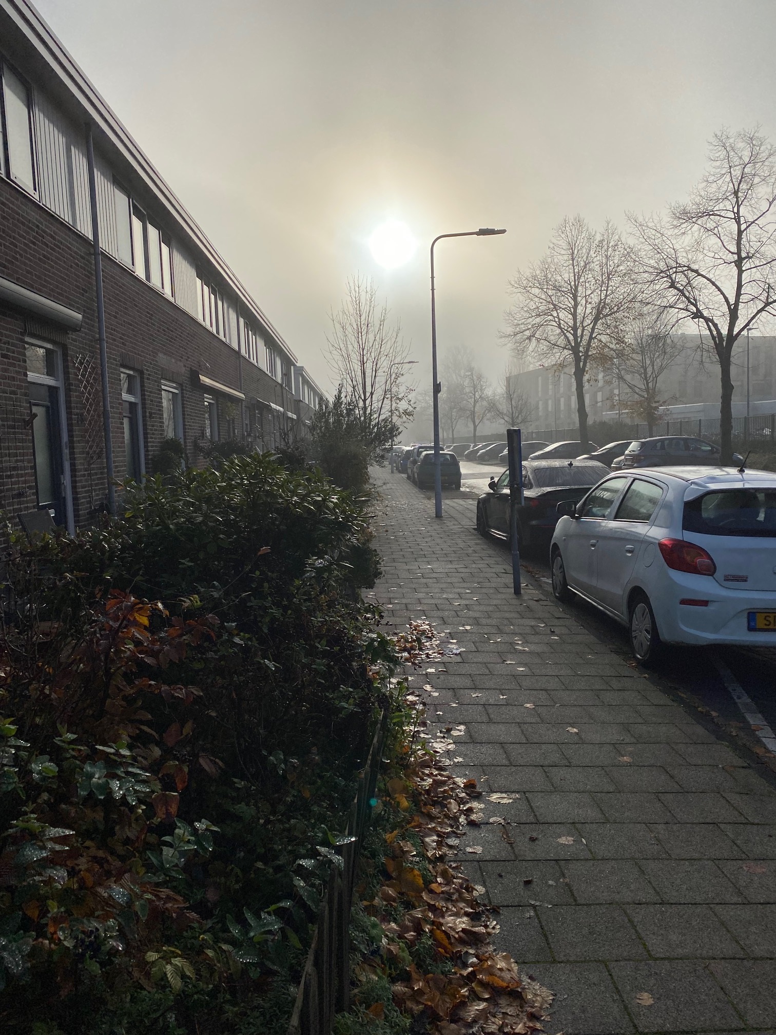 Storm Buysingstraat 39