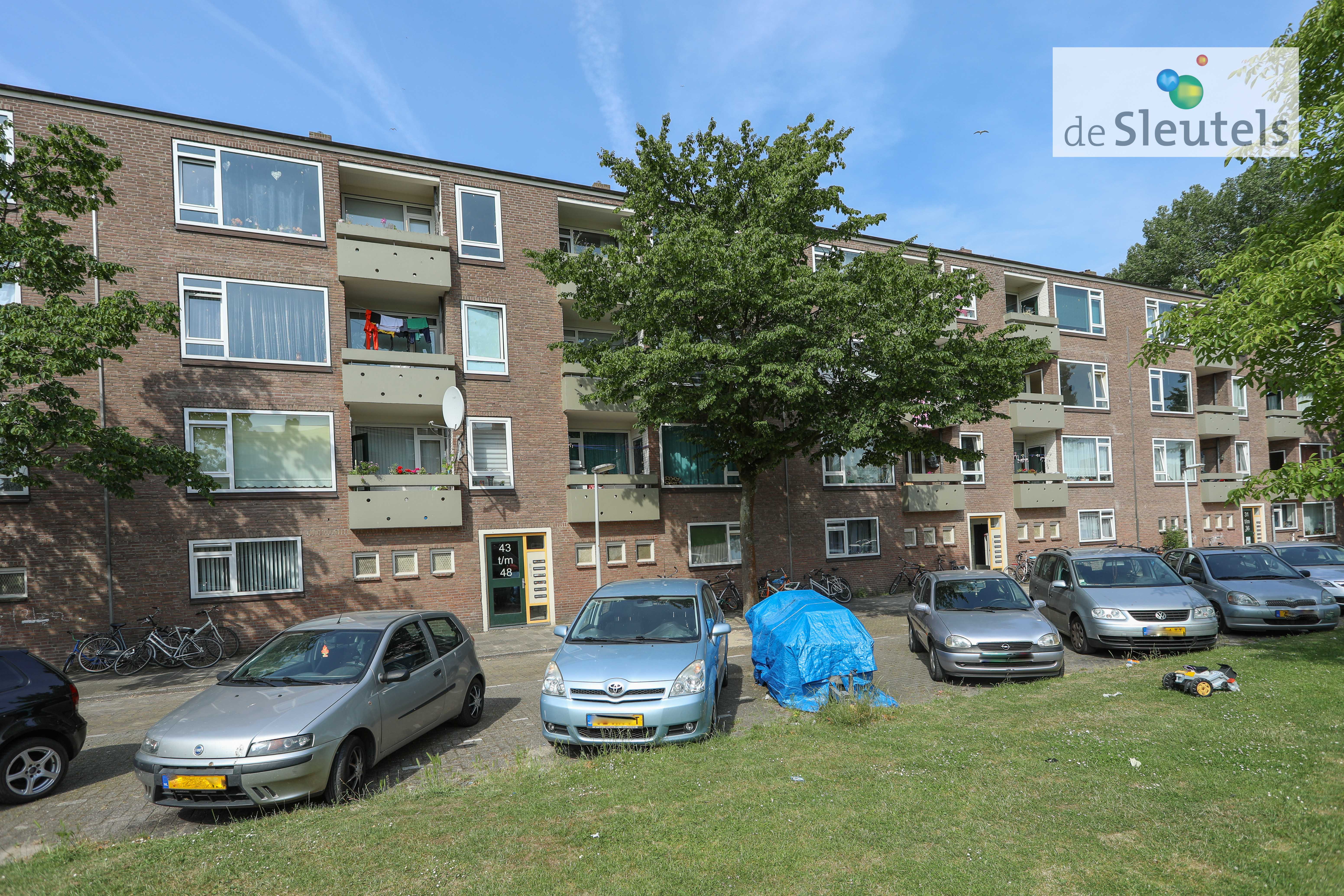 Stuyvesanthof 46, 2315 AE Leiden, Nederland