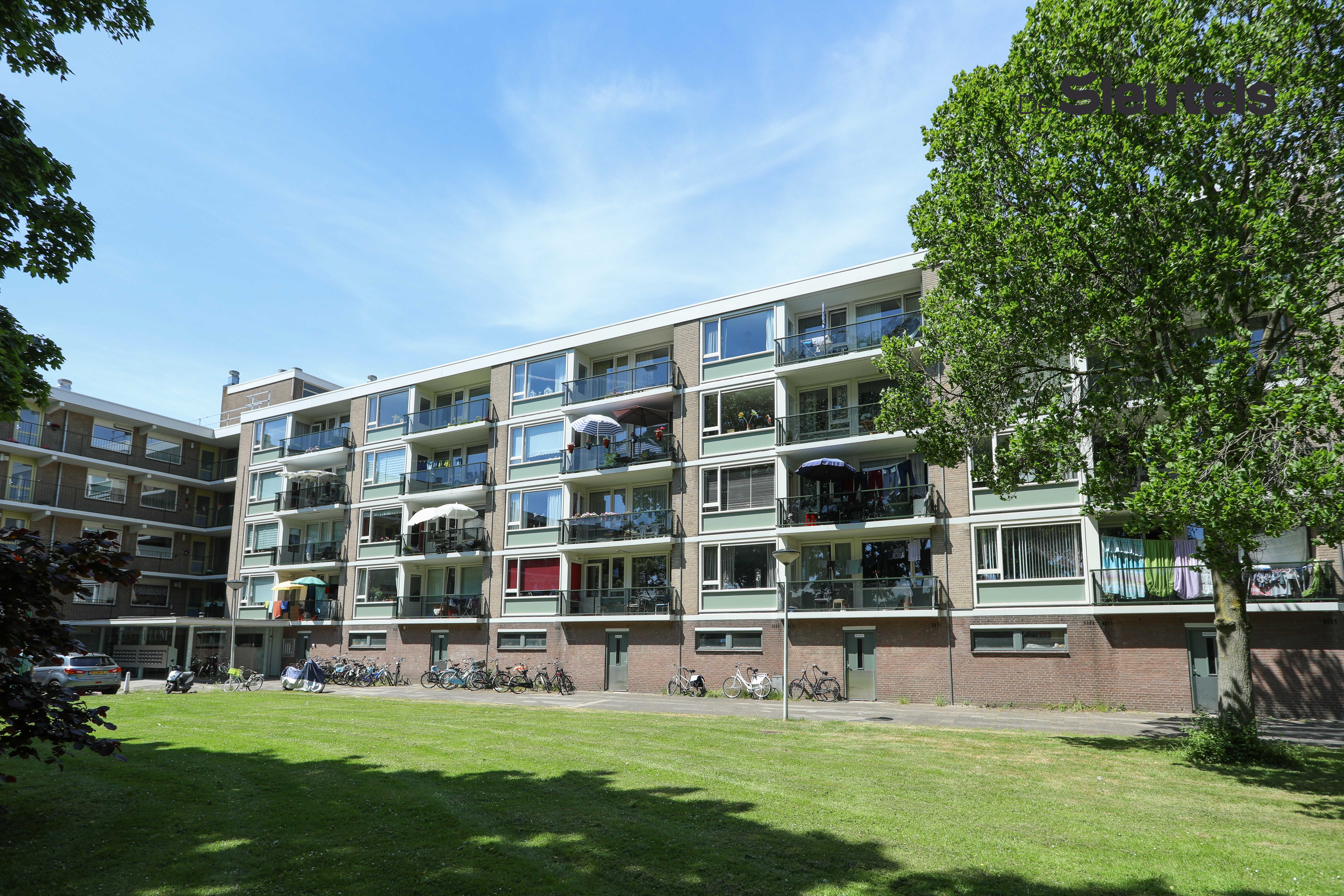 Castellumweg 36, 2314 VB Leiden, Nederland