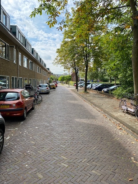 Lopsenstraat 29