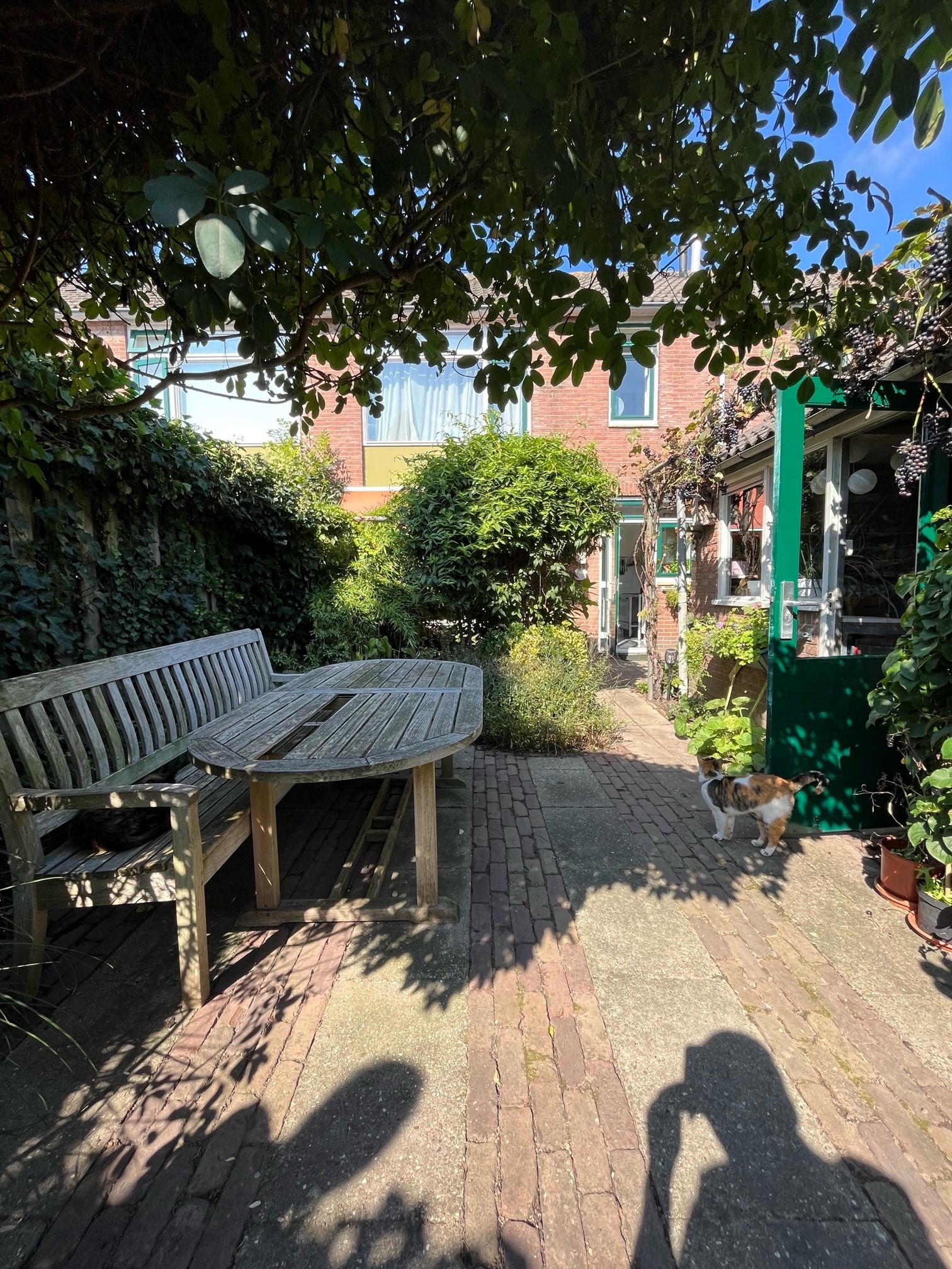 Groene Jonkerstraat 7, 2435 XH Zevenhoven, Nederland