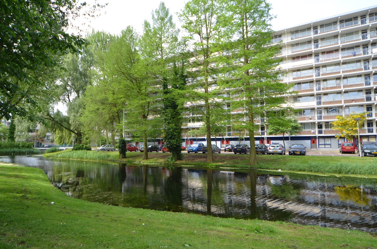 Arendshorst 41, 2317 CR Leiden, Nederland