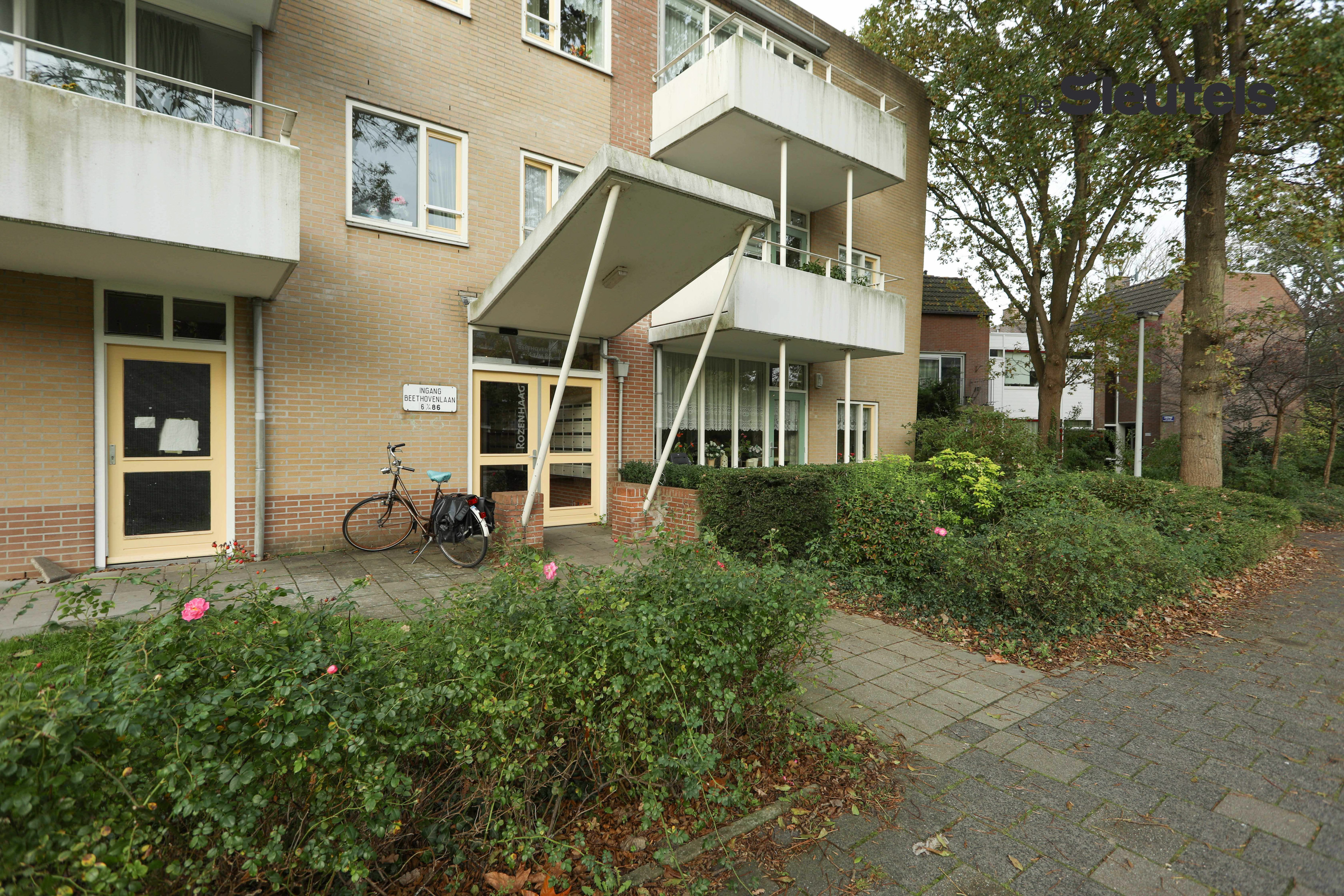 Beethovenlaan 44C, 2324 EN Leiden, Nederland