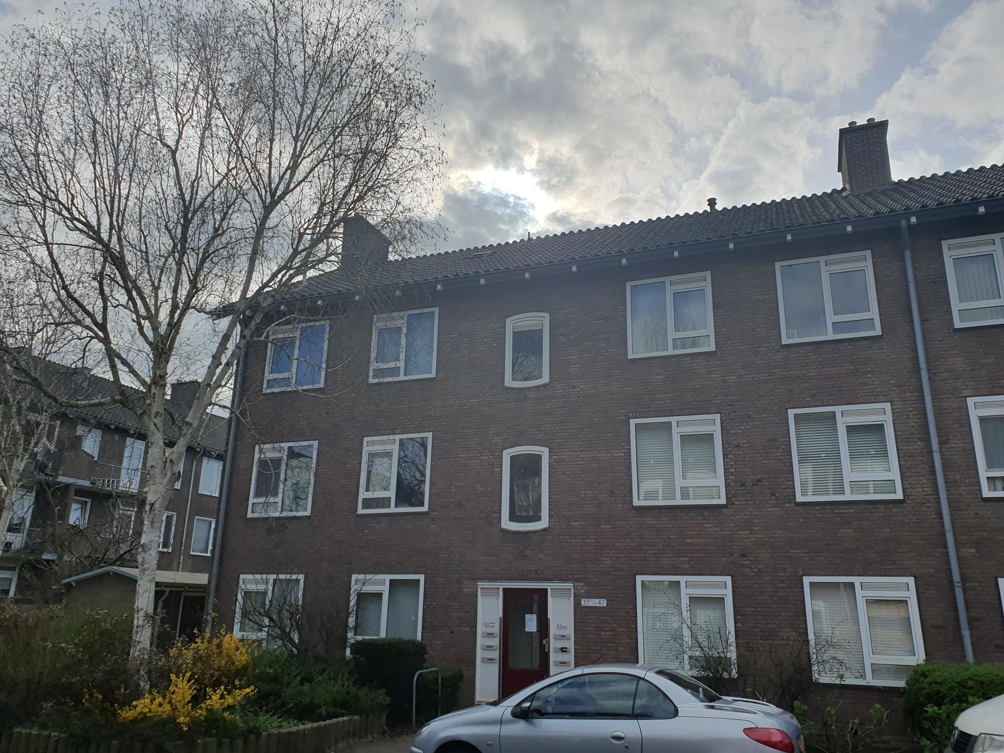 Temminckstraat 41, 2313 RR Leiden, Nederland