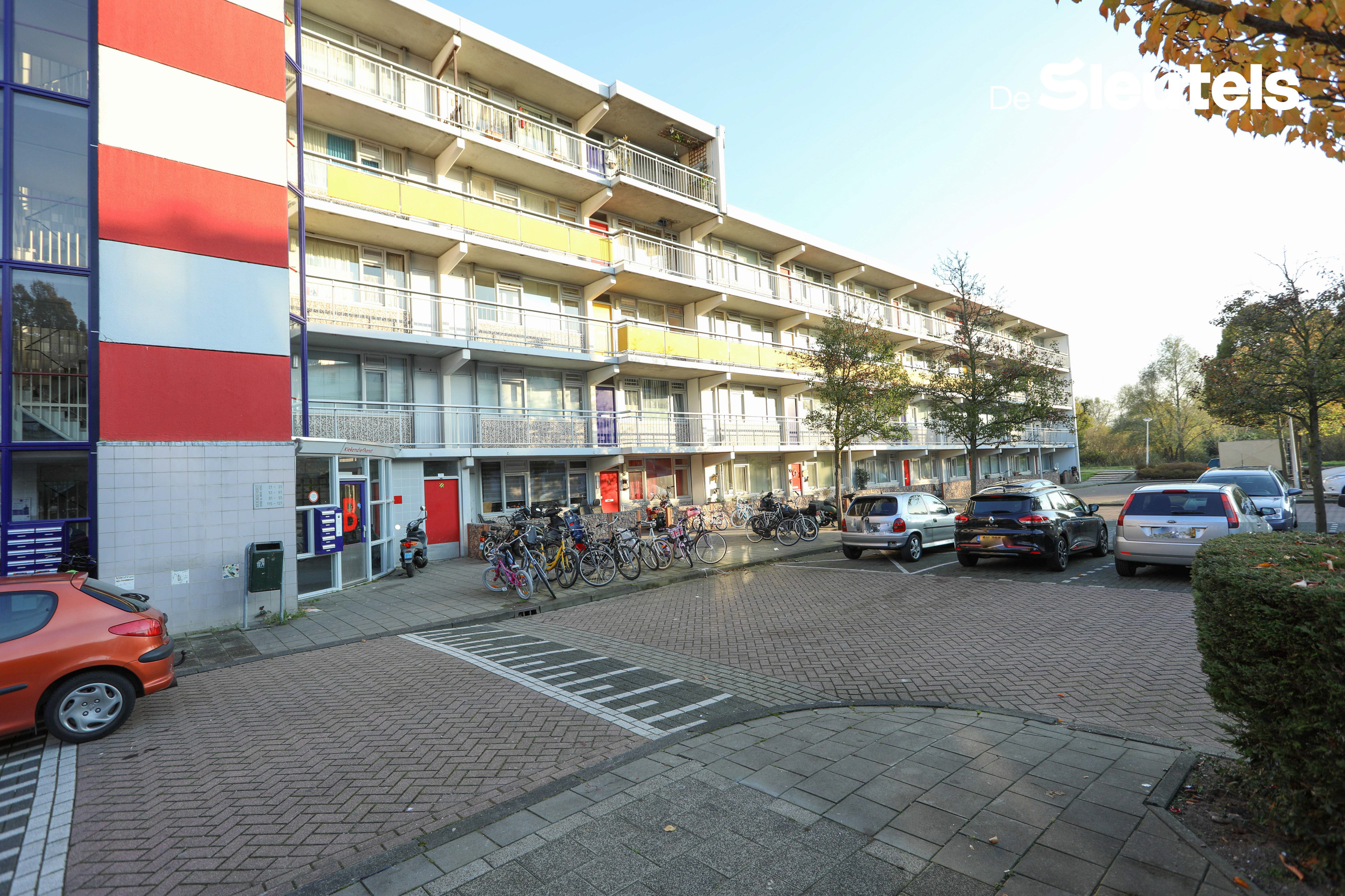 Kiekendiefhorst 52, 2317 AC Leiden, Nederland