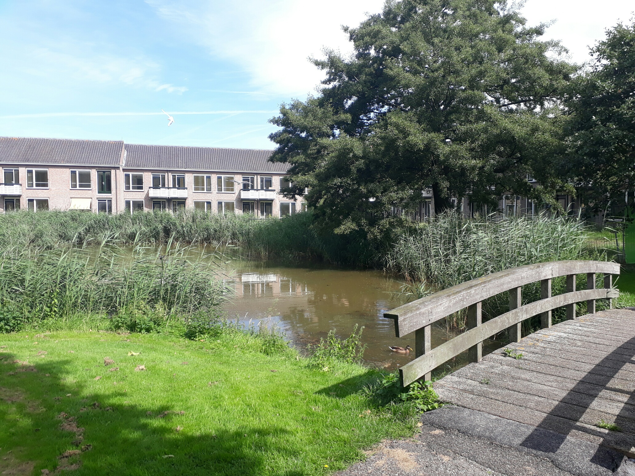 Appartement te huur: Roodborstlaan 32, Nieuwkoop Nieuwkoop