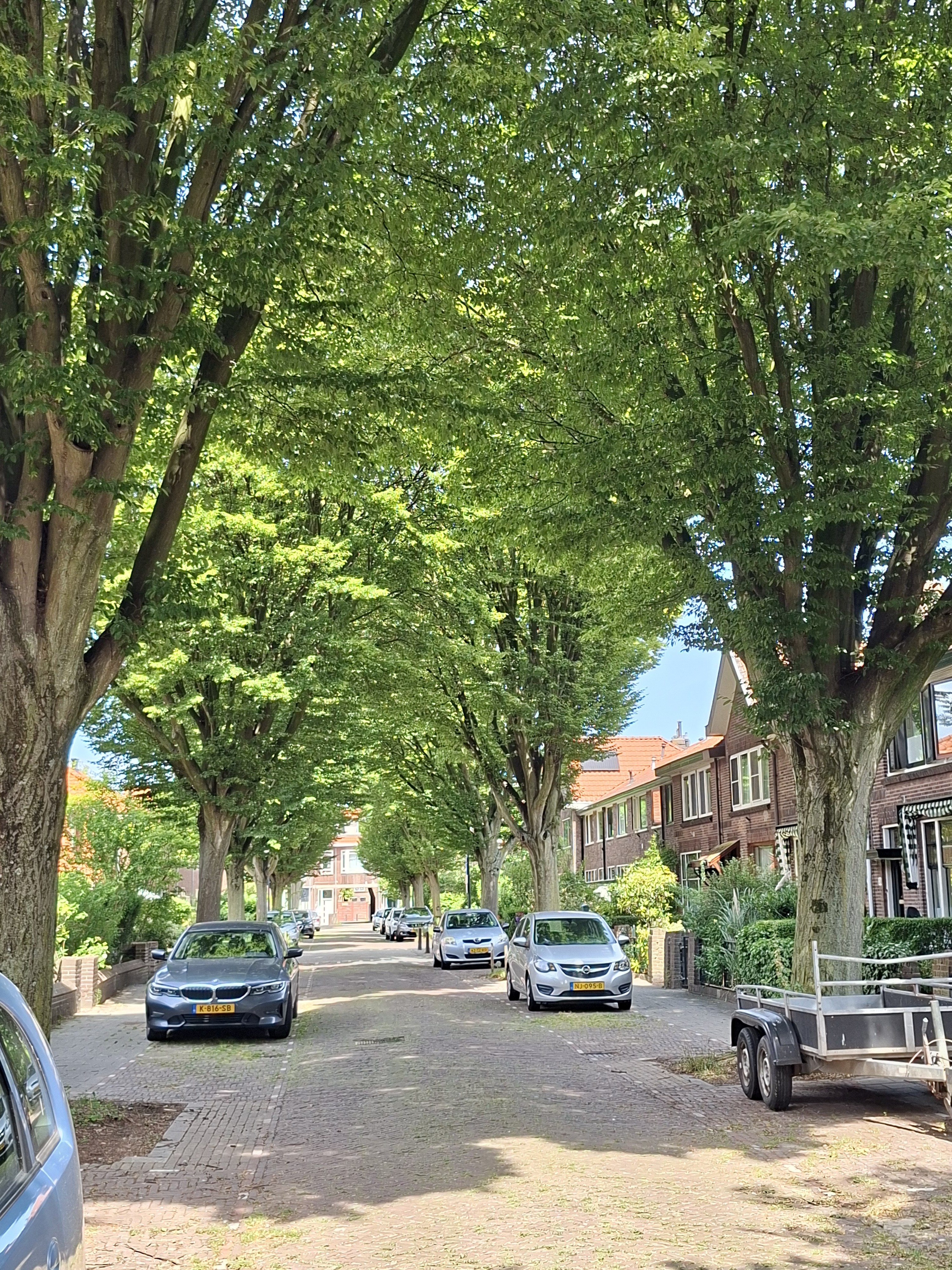 Terraced house for rent: Resedastraat 41, Tuinstadwijk Leiden