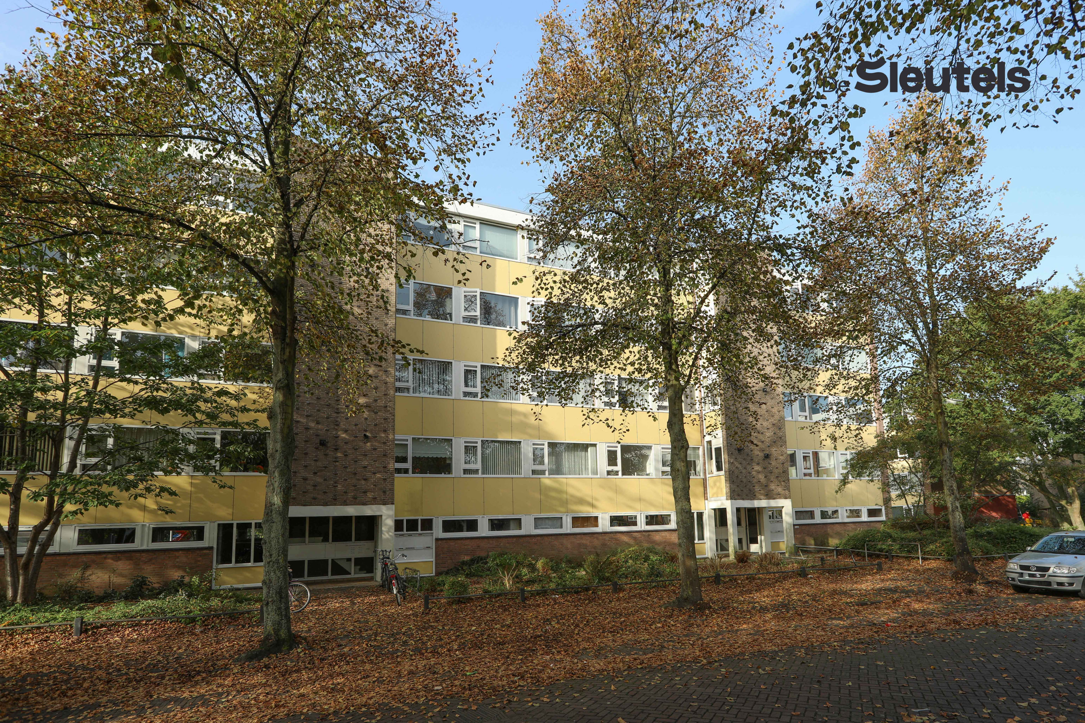 Apartment for rent: Van 's-Gravensandestraat 29, Gasthuiswijk Leiden