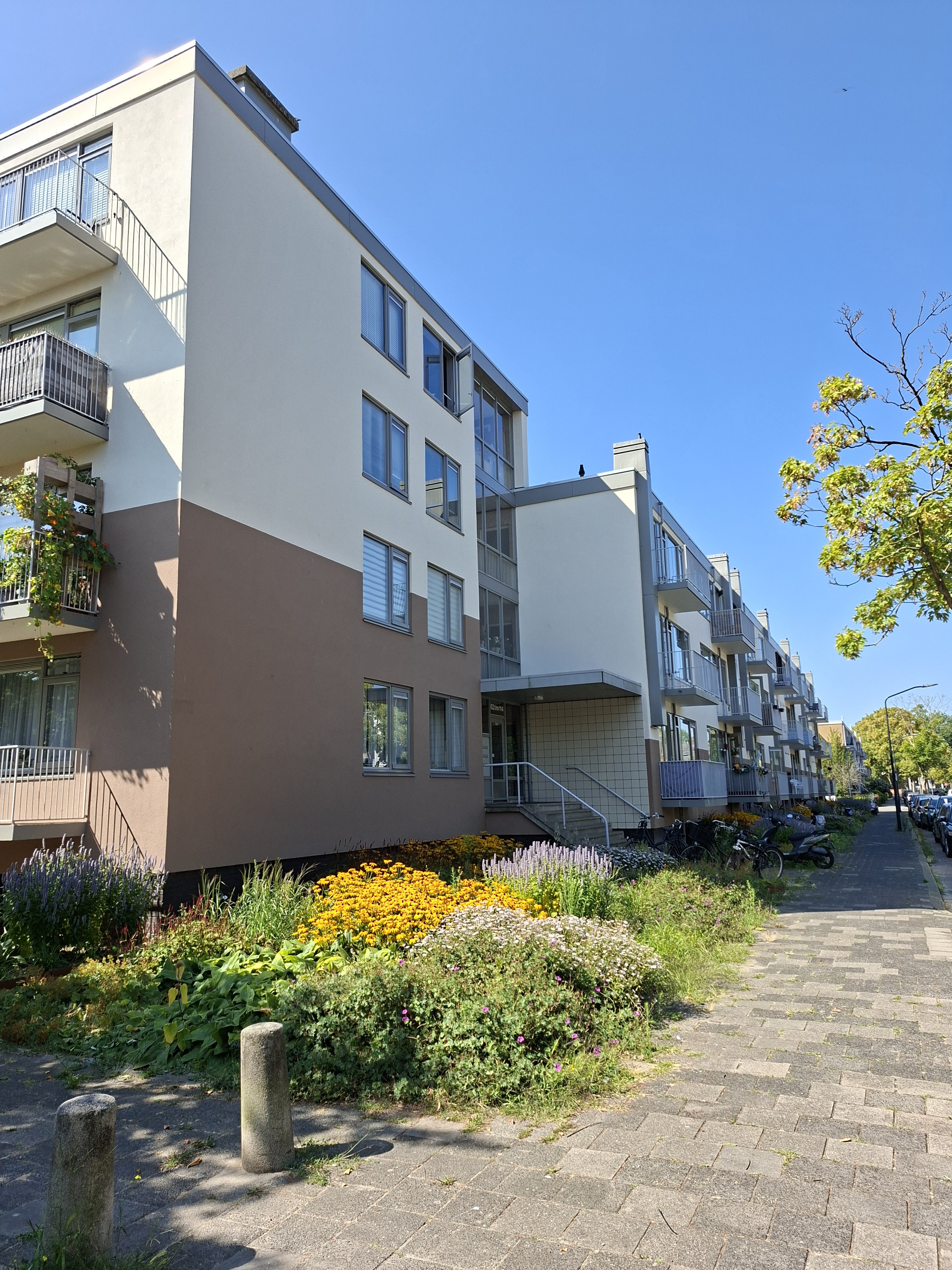 Apartment for rent: Valeriusstraat 114, Boshuizen Leiden