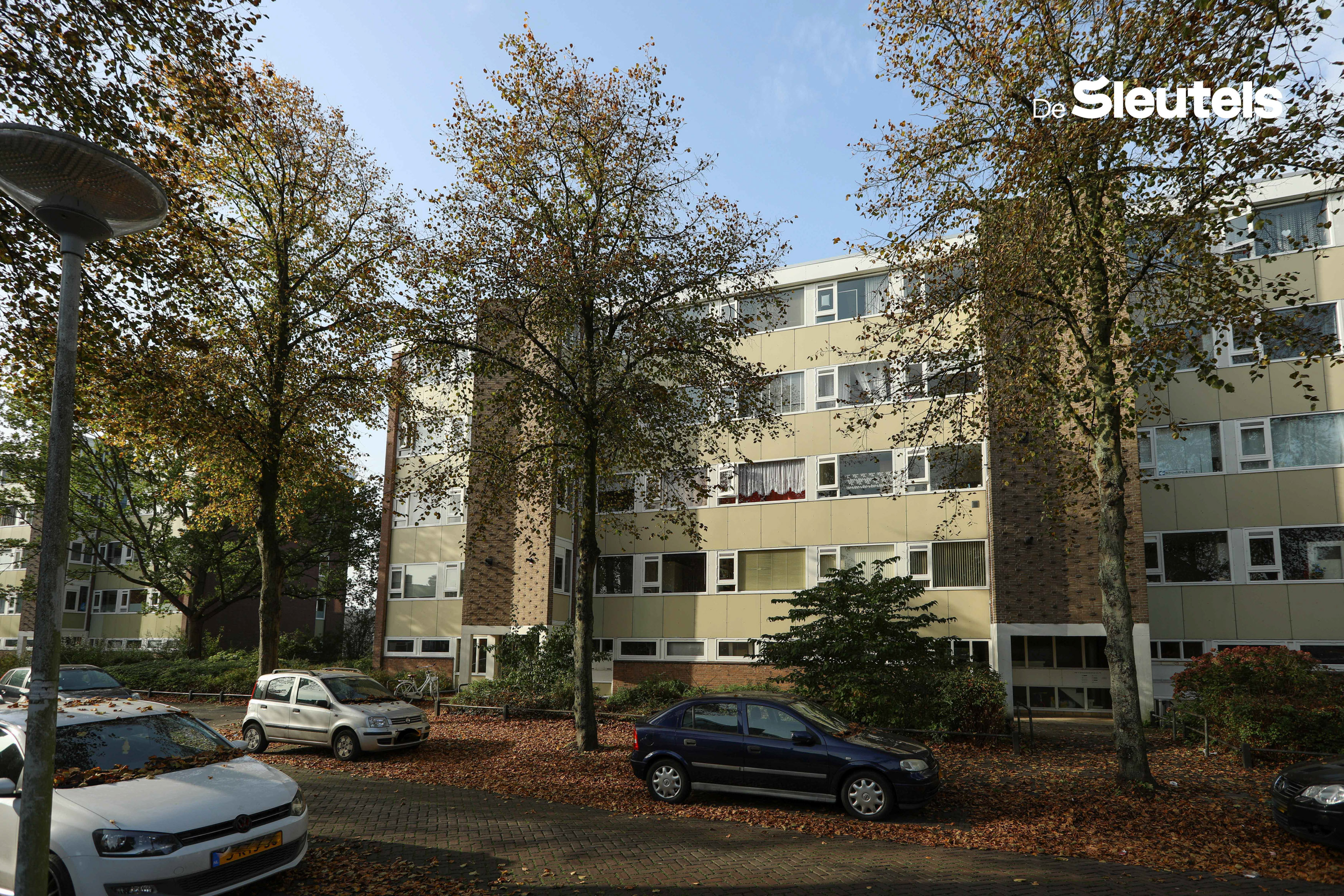 Apartment for rent: Van 's-Gravensandestraat 71, Gasthuiswijk Leiden
