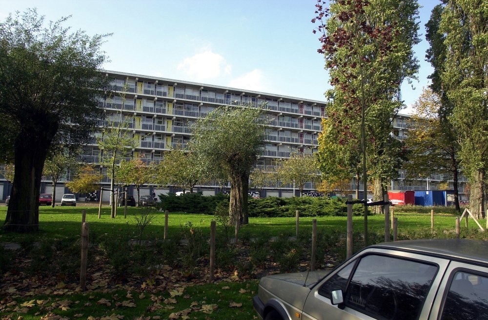 Apartment for rent: Jacques Urlusplantsoen 156, Boshuizen Leiden